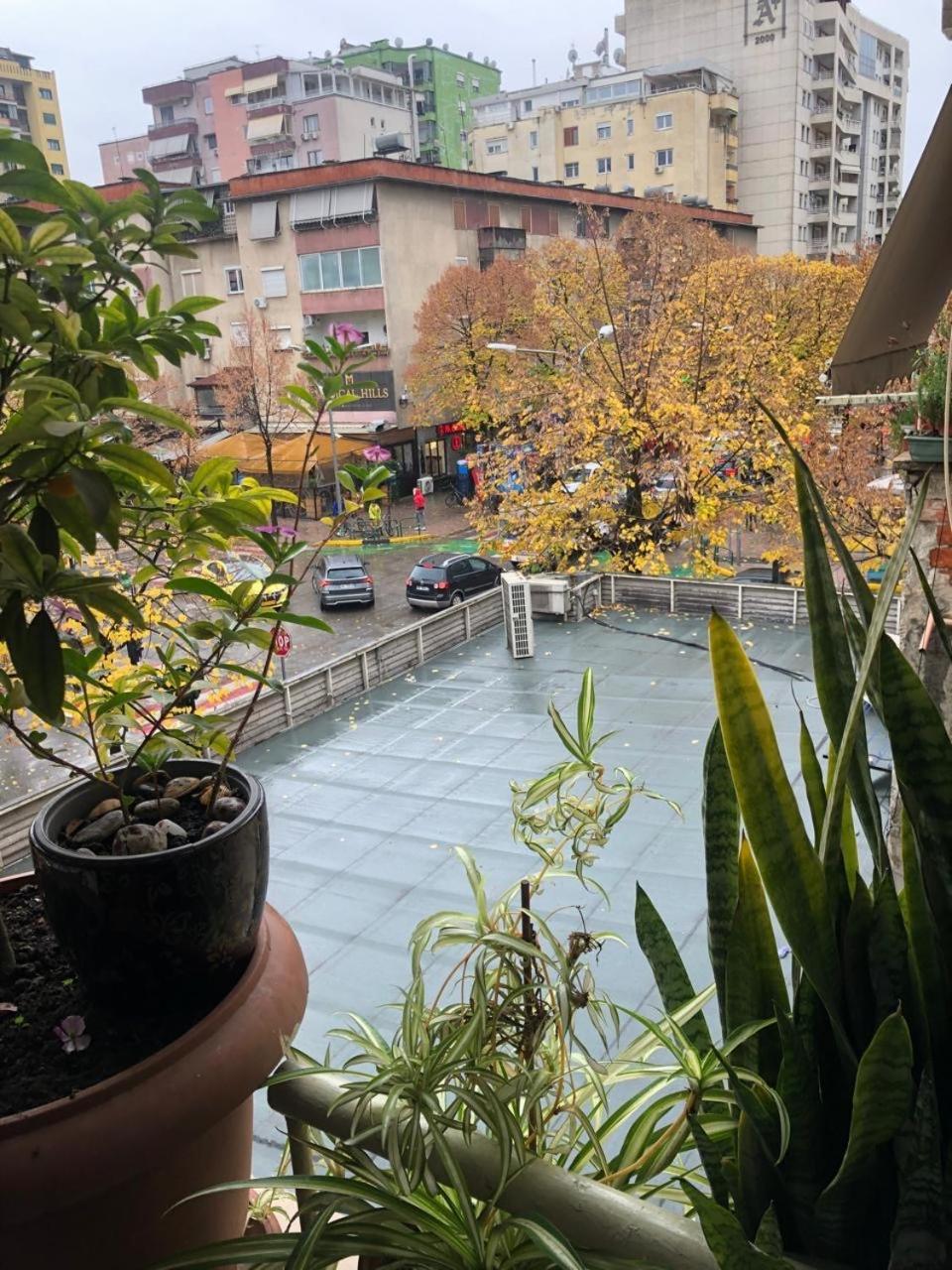 טיראנה 3M Urban Stay מראה חיצוני תמונה