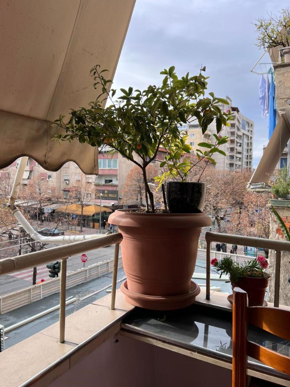 טיראנה 3M Urban Stay מראה חיצוני תמונה